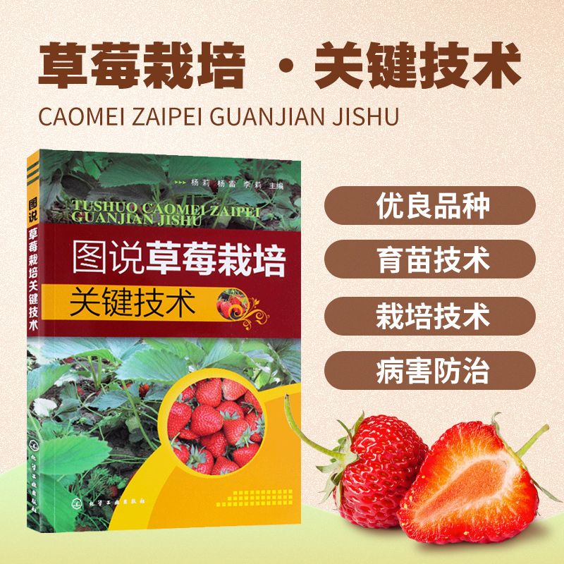 图说草莓栽培关键技术 草莓无土栽培技术 科学种植草莓 草莓病虫害防治技术 草莓繁殖技术 农业水果种植技术书 草莓育苗技术图书籍