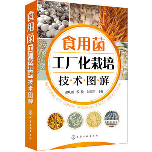 杏鲍菇高产技术图解 蘑菇种植养殖技术书籍 双孢菇 食用菌实用栽培技术书籍 菌类蔬菜种植技术书籍 草菇 食用菌工厂化栽培技术图解