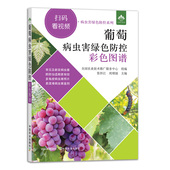 葡萄种植技术大全书 葡萄种植书籍 葡萄绿色技术防治病虫害 种葡萄 葡萄高效栽培彩色图谱书 正版 书 葡萄病虫害绿色防控彩色图谱