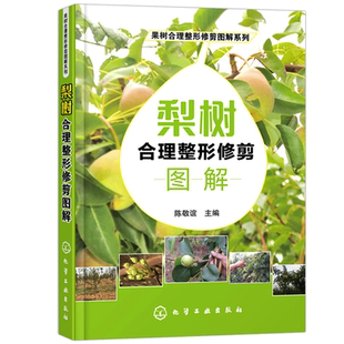 梨树合理整形修剪图解果树种植栽培技术书梨树病虫害防治与诊断用药技术种植书籍大全果树修剪与管理农业书籍果树嫁接技术图解书