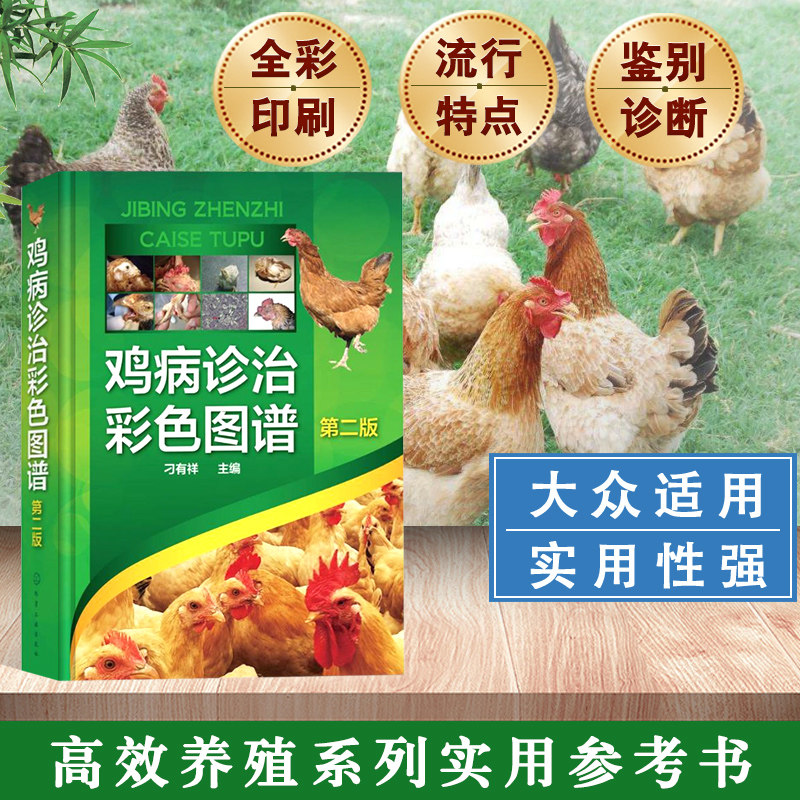 鸡病诊治彩色图谱 第二版 鸡病鉴别诊断图谱鸡病诊治技术书籍鸡病诊断与养鸡技术书养殖书籍大全养鸡技术书散养土鸡实用技术