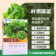 叶类蔬菜病虫害非化学防治技术 园艺学农艺学农技推广书 农业生物物理防治蔬菜高产高效生产技术蔬菜种植蔬菜露底栽培技术应用指南