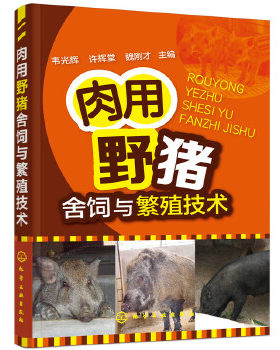 正版书籍 肉用野猪舍饲与繁殖技术 野猪养殖书 高效养猪技术大全养野猪技术书籍肉用野猪疾病防治野猪饲养管理野猪家养技术书籍