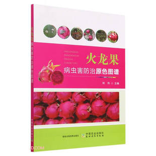 火龙果病虫害防治原色图谱 郑伟 火龙果病害症状和害虫形态特征发生规律防治方法书籍 火龙果种植栽培技术大全书籍 中国农业出版社
