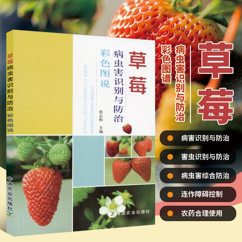 张志恒 大棚草莓种植技术书籍 病虫害及其防治书籍 病害识别与防治