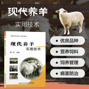 现代养羊实用技术 山羊绵羊肉羊羔羊养殖技术大全书 羊选种选育羊场建设营养饲草料配置繁殖饲养管羊病羊疫病防控羊场防疫指导书