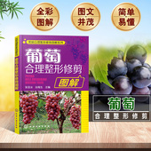 葡萄合理整形修剪图解高效栽培与病虫害防治诊断果树嫁接技术图解书农业书籍果树修剪书籍种植书籍大全葡萄种植栽培技术书