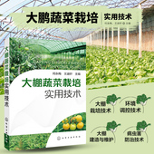大棚蔬菜栽培实用技术蔬菜培养教材书养殖蔬菜技术大全书搭棚栽培蔬菜全书黄瓜辣椒高效养殖书棚室健康养殖书籍