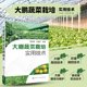 大棚蔬菜栽培实用技术蔬菜培养教材书养殖蔬菜技术大全书搭棚栽培蔬菜全书黄瓜辣椒高效养殖书棚室健康养殖书籍