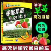 棚室草莓高效栽培 草莓育苗栽培管理无土栽培常见病虫害防治技术大全图书籍大棚草莓种植教程 草莓科学高效栽培种植技术