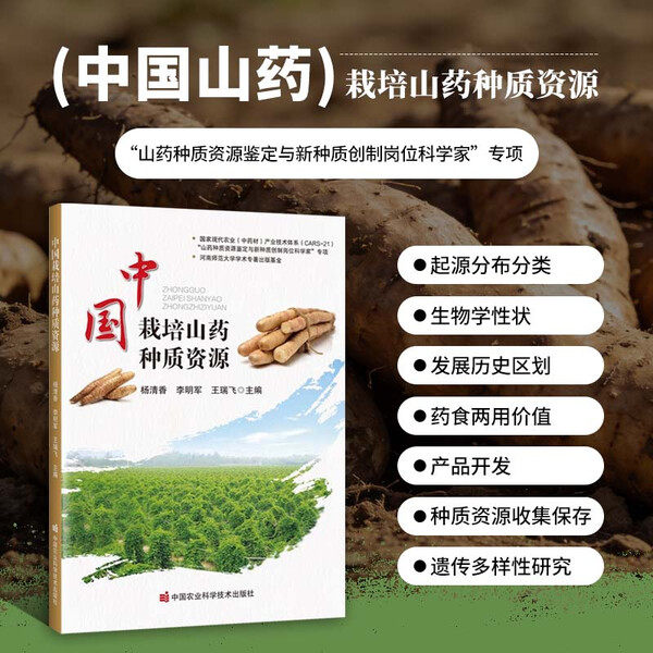 中国栽培山药种质资源 山药起源分布分类生物学性状药食两用价值产品研发种质资源收集保护遗传多样性研究 山药形态特征种植栽培