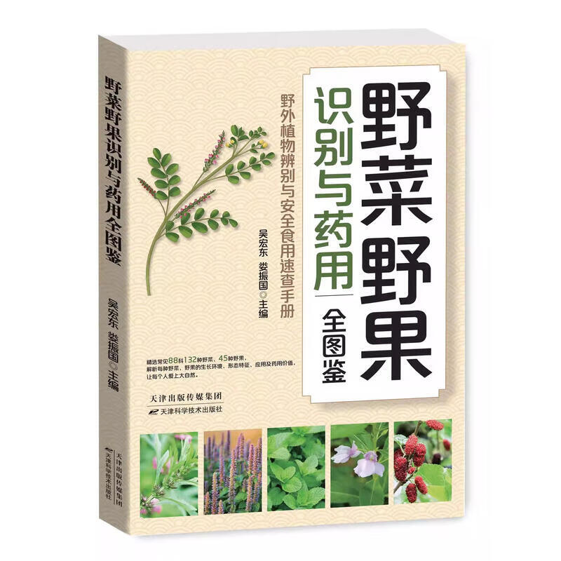 野菜野果识别与药用全图鉴 野外植物辨别与安全食用速查手册 形态特征与鉴别要点 药用功效 食用方法与禁忌 采集时机与处理方式