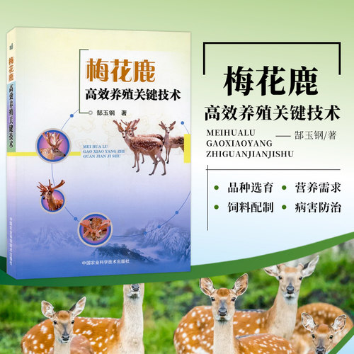 梅花鹿高效养殖关键技术 郜玉钢著梅花鹿的饲养管理以及常见病诊治技术书籍梅花鹿养殖 梅花鹿养殖技术梅花鹿养殖简单学