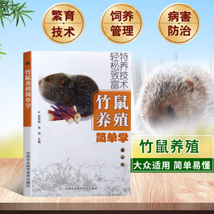 竹鼠养殖简单学老鼠疾病防治技术竹鼠养殖技术资料大全华农兄弟竹鼠养殖教程书籍竹鼠养殖场管理养殖竹鼠喂养技巧养殖书籍大全