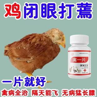 鸡药禽一片鸡鸭鹅感冒拉稀药禽类急救片鸡药大全特效消炎气喘专用