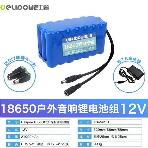 德力普（Delipow）12v锂电池组18650充电大容量户外音响头灯太阳