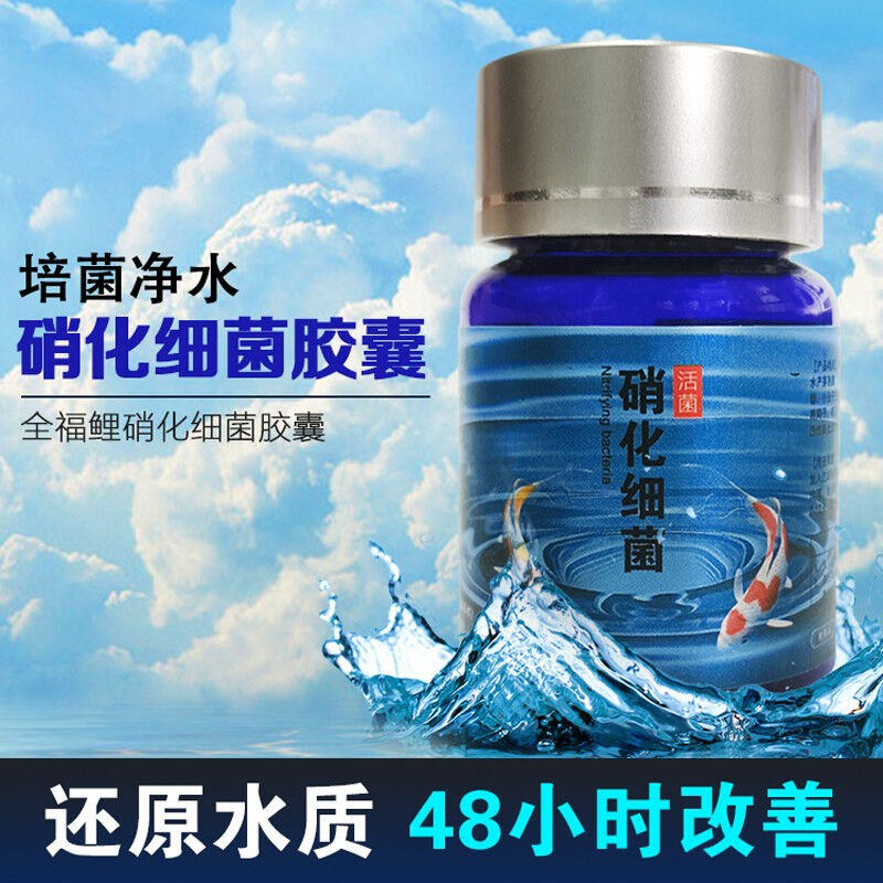 全福鲤硝化细菌水族鱼缸鱼池水质稳定剂硝化细菌水族净化剂20粒/