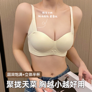 胸罩 爆款 性感文胸2024新款 无痕内衣女士聚拢收副乳防下垂小胸夏季