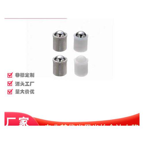 D10球头36柱塞c-PFSSN3/4