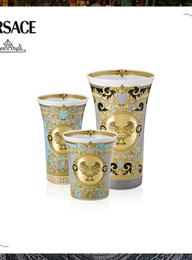 Versace meets Rosenthal 范思哲金樽陶瓷花瓶装饰摆件礼赠