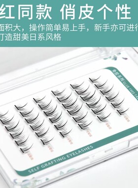 自嫁接太阳花免胶系列 舒适浓密简单易上手 时尚妆感适合新手小白