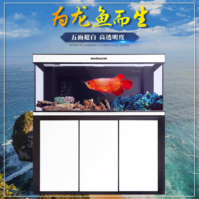 boxwater博特鱼缸水族箱龙鱼缸大中小型客厅底滤超白玻璃家用鱼缸