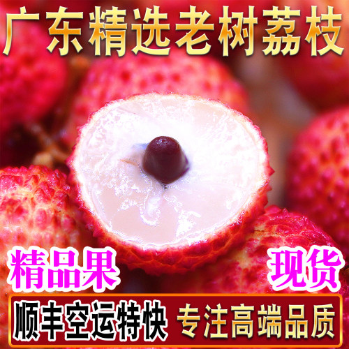 广东老树白糖罂荔枝精品顺丰空运