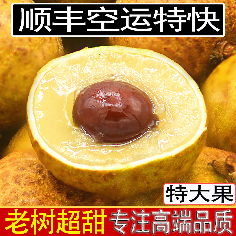 正宗广东石峡储良龙眼顺丰空运