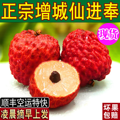 正宗仙进奉荔枝新鲜活顺丰空运