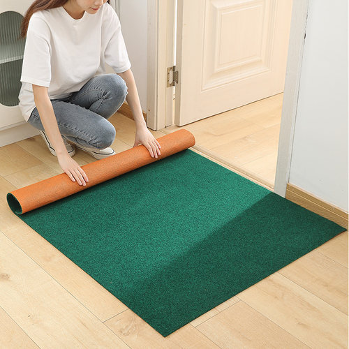 地毯门垫进门入户门地垫吸水防滑耐脏进门门口玄关乔迁可裁剪脚垫