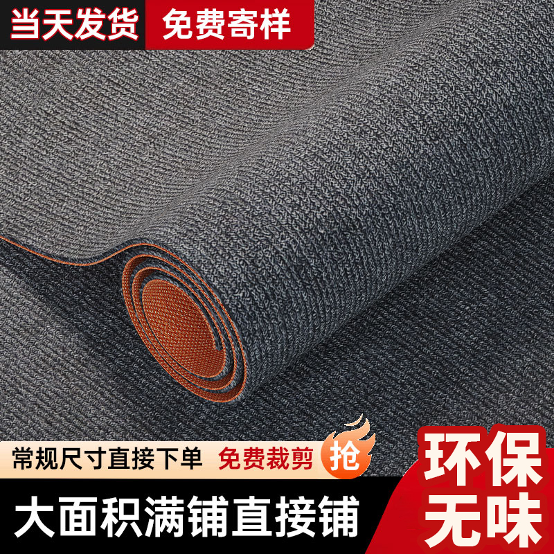 地垫大面积全铺防水防滑隔音家用室内厨房卧室卫生间可裁剪防潮