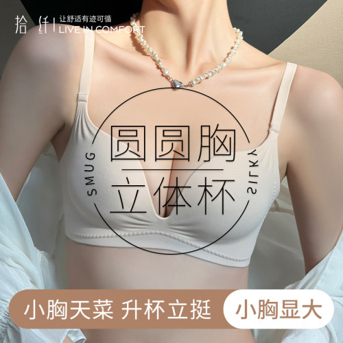 圆圆胸内衣女小胸聚拢显大外扩型漫画胸无痕无钢圈美背文胸罩秋冬