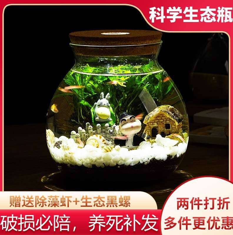 微景观玻璃容器小虾生态瓶小型观赏密封鱼虾小球藻免换水免打理