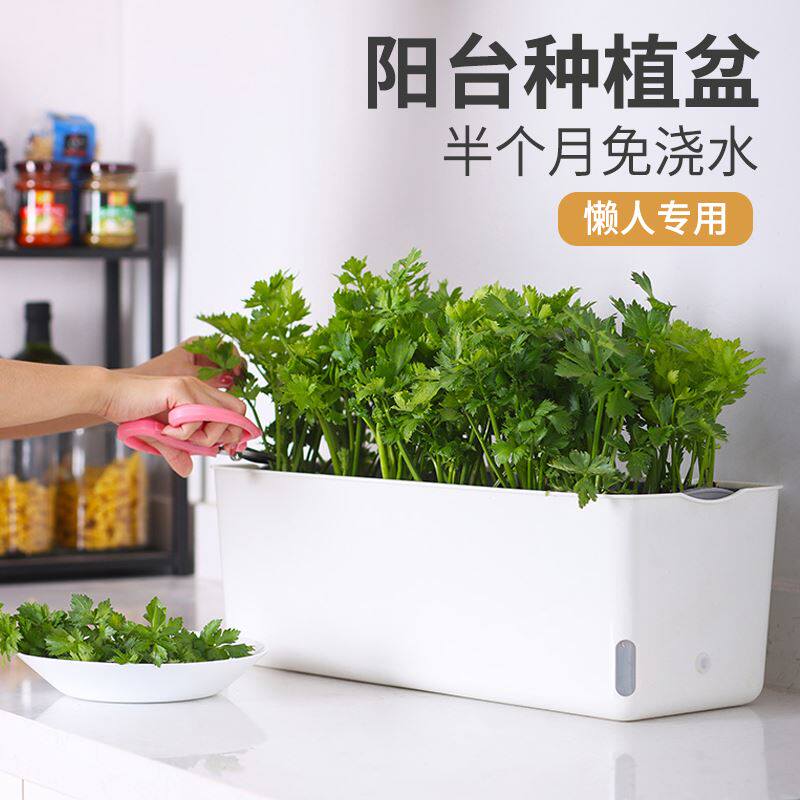 长方形种菜盆家庭阳台专用蔬菜种植箱绿萝塑料花盆长条懒人自吸水
