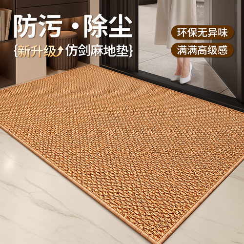 【高品质】入户门地垫进门仿剑麻