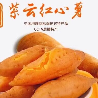 贵州紫云红薯新鲜地瓜红心番薯小红薯板栗番薯小香薯鲜生山芋