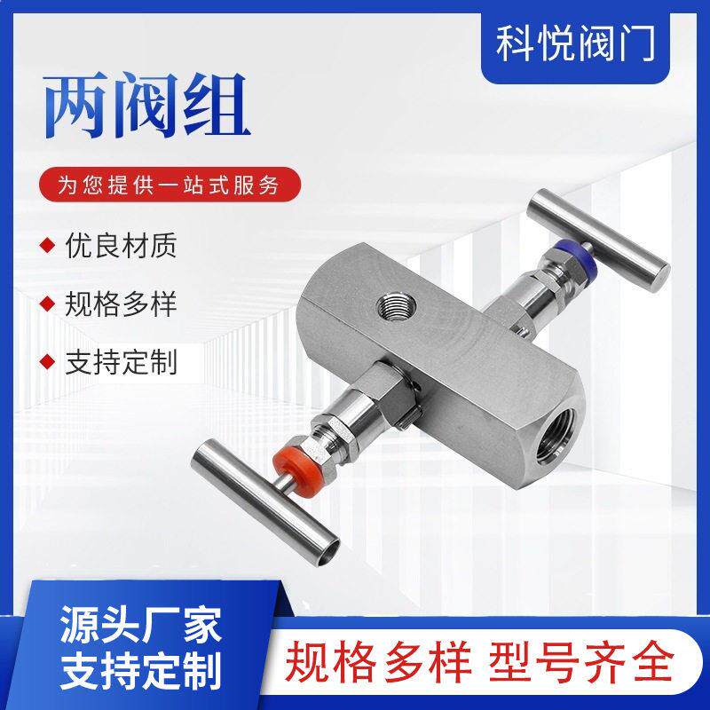 不锈钢阀组不锈钢二阀组一体化二阀组压阀组二阀组针阀型二阀组