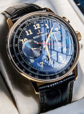 瑞夫泰格Reef Tiger Men's Automatic Mechanical Watch 手表