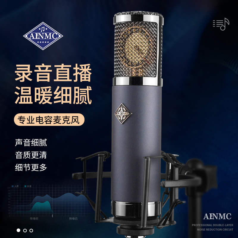 AINMC TF22高端大振膜电容麦克风录音棚K歌直播有声混音声卡话筒
