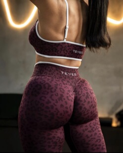 特显臀大 shorts高腰无缝运动裤 Seamless TEVEO