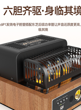 山水S980电子管胆机组合专业发烧级hifi影院音响家用电视2.0音箱
