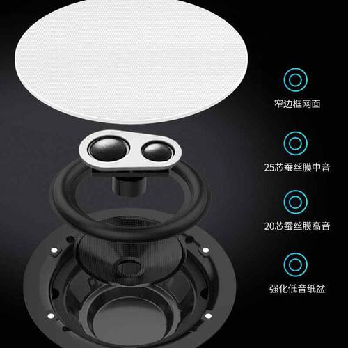 创智JiHiFi新J9家庭背景音乐主机系统套装高低音分频吸顶喇叭音响