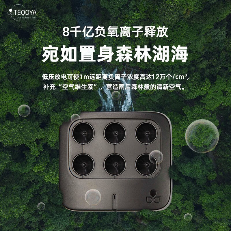 得康氧法国进口车载负离子发生器TEQOYANomad除甲醛除异味无耗材
