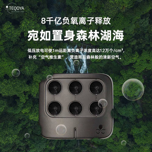 得康氧法国进口车载负离子发生器TEQOYANomad除甲醛除异味无耗材
