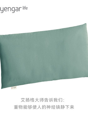 艾扬格Life超大沙袋新品
