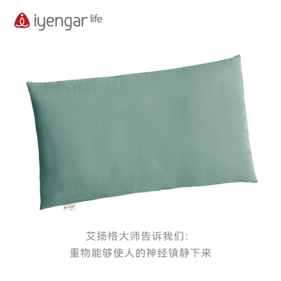 艾扬格Life超大沙袋新品