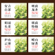 2026新茶茶叶标签贴纸定制茶叶罐子不干胶封口贴龙井茶碧螺春封签