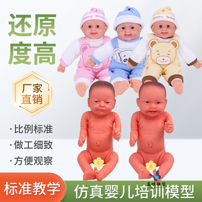 蓝蝶模型塑胶仿真填充婴儿教学