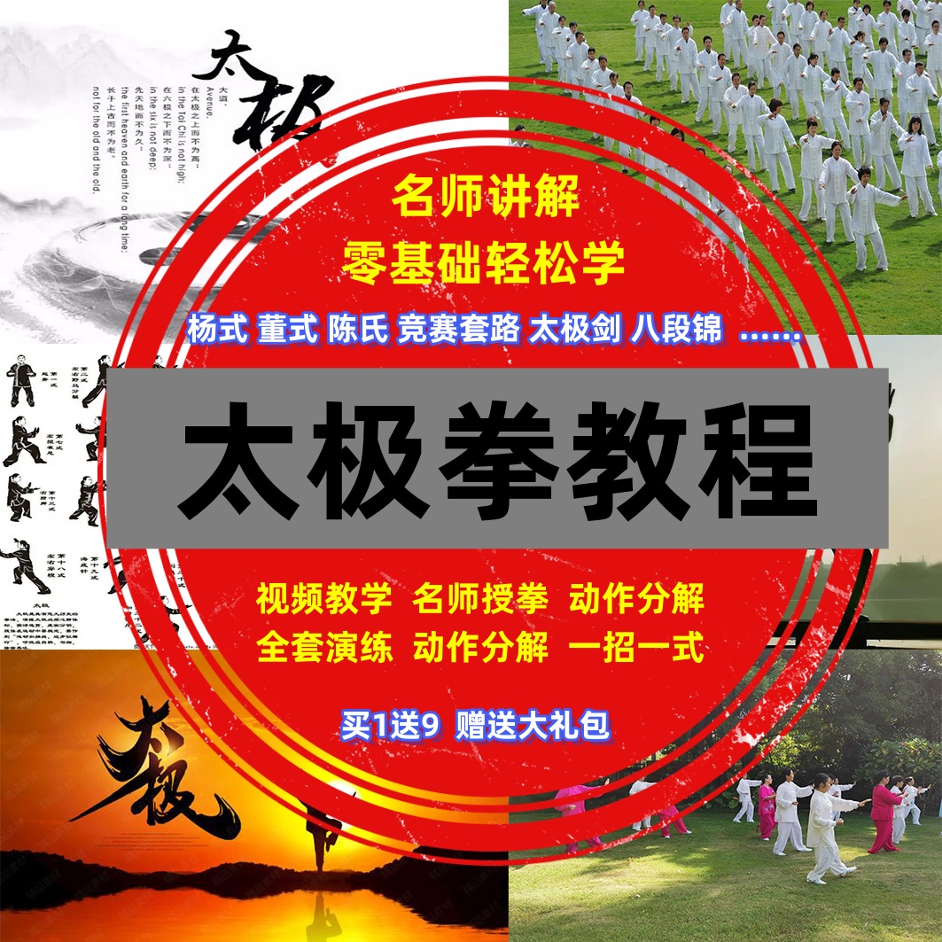 陈氏杨氏太极拳教程董氏吴氏武术教学视频气功夫入门健身养生课程