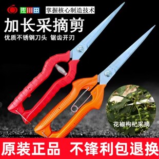 佐川田采果剪稀果疏花剪葡萄修花枝剪柑橘子蔬果采摘摘果剪刀工具